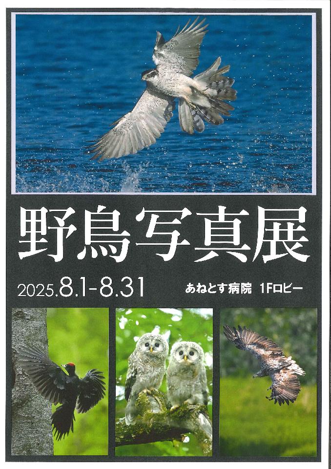 病院ロビーの壁面ギャラリー展示が新しくなりました。